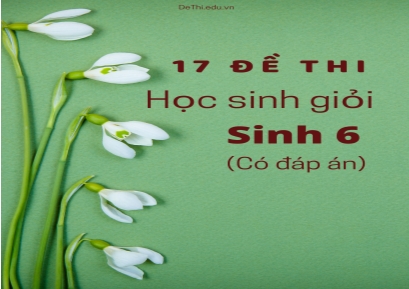 Bộ 17 Đề thi học sinh giỏi Sinh 6 (Có đáp án)